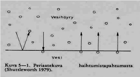 Haihdunta ilmiönä Toisin kuin kiehumista, haihtumista voi tapahtua kaikissa lämpötiloissa.