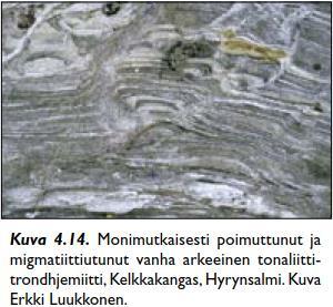 Harmaat gneissikompleksit Koostumukseltaan tonaliitteja, trondjemiitteja, granodioriitteja ja osa graniitteja.