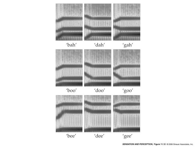 äänteiden välillä taka väljä Kent & Read (1992) Puhehavainnon vakioisuus Miten puhehavainnon vakioisuus saavutetaan?