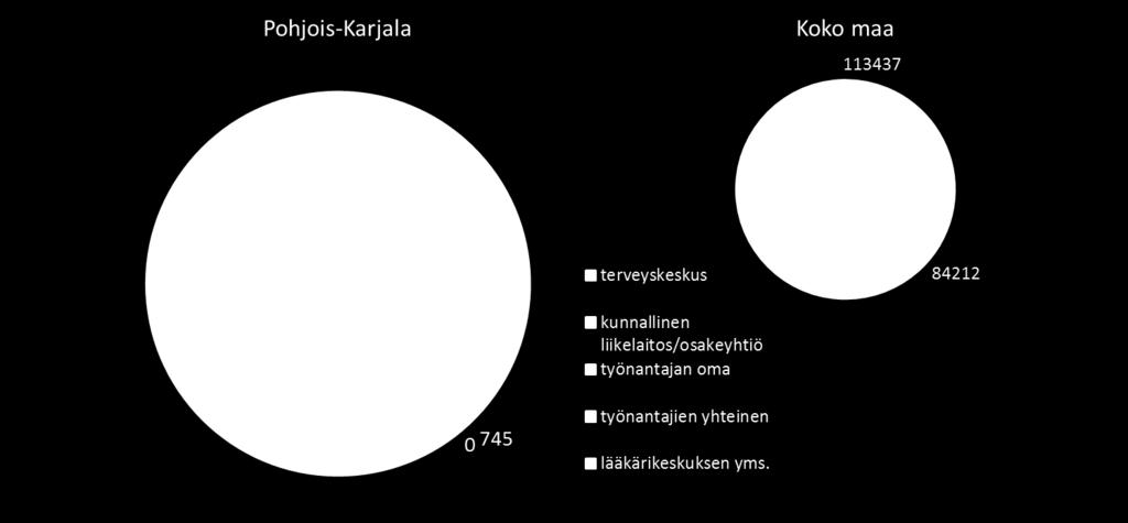 Tuottajaryhmittäin tarkasteltuna 62 % sairaanhoidon piirissä olevista henkilöasiakkaista on lääkärikeskusten asiakkaita, kunnallisten liikelaitosten/osakeyhtiöiden ja terveyskeskusten asiakkaita