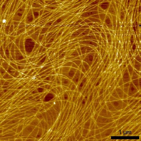 1-ulotteiset nanomateriaalit: nanoselluloosa Neulamaiset selluloosananokiteet (nanowhiskers) Lankamaiset