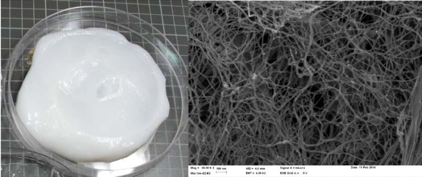 sovellukset Lääkeaineiden hidas vapautuminen geelirakenteista Kantasolujen kasvattaminen hydrogeeleissä Tuote: GrowDex - The cellulose based hydrogel for 3D cell