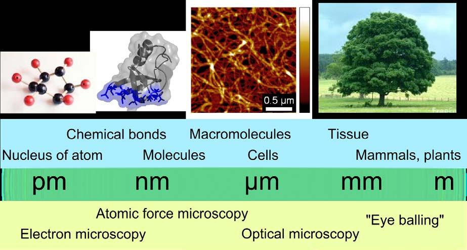 Mitä tarkoittaa nanoteknologia?