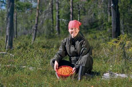 Osa vesistöstä on varattu perhokalastukseen ja vetouisteluun. Reittivesillä voi saada onkeensa siikoja, harreja ja taimenia perinteisten haukien ja ahventen lisäksi.