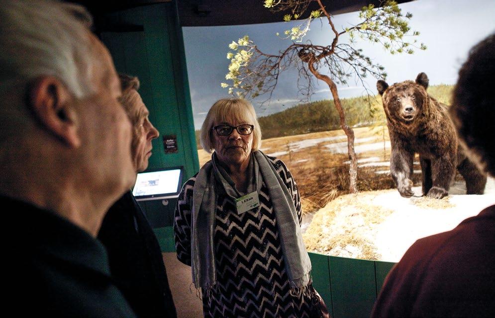 Kulttuuriluotsi Museokeskus Vapriikissa. Kuva: Laura Vesa/Yhteishyvä 6.1. Luotsattavan muotokuva Kohdekyselyn ensimmäisenä tavoitteena oli kartoittaa luotsattavien taustatietoja.