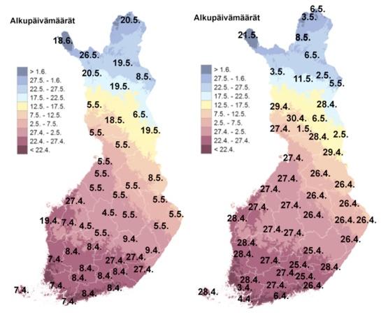 54 Kuvio 6. Termisen kasvukauden alkamispäivät vuosina 2015 ja 2016. (Terminen kasvukausi 2016 ja Terminen kasvukausi 2015) Toisen rehusadon satomäärät olivat jokaisella tilalla korkeita.