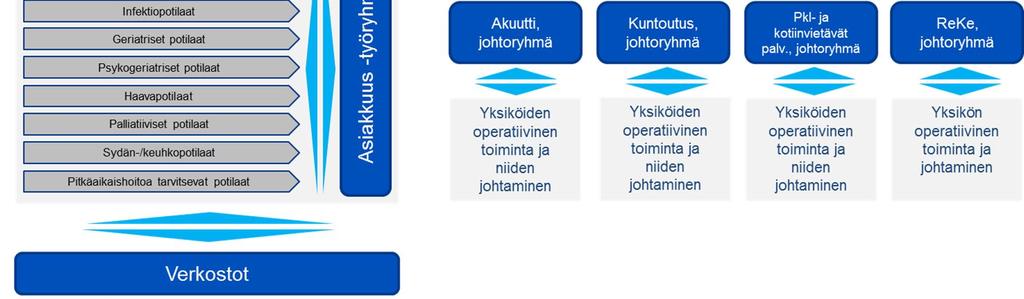 Toimintaohjelmien tarkoituksena on tarjota konkreettisia ohjeita ja työkaluja koko sairaalan henkilöstön käyttöön keskeisiksi tunnistetuissa osaamistarpeissa.