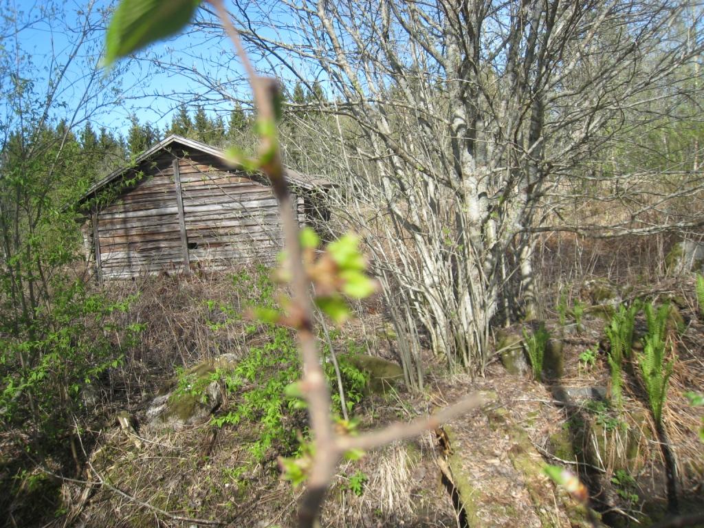 LoOSA-ALUE 3 Ce ja 3: keskusalue risuaita Lo 3 Be pd HOITOKORTTI Vi sa Vi sa Be le 2 Ca fr ROSSIN ARBORETUMIN HOITO- JA KEHITYSSUNNITELMA Vi lan Be al Am sp oja Be pk Be al Al vi Be al Th oc Vi oa Be