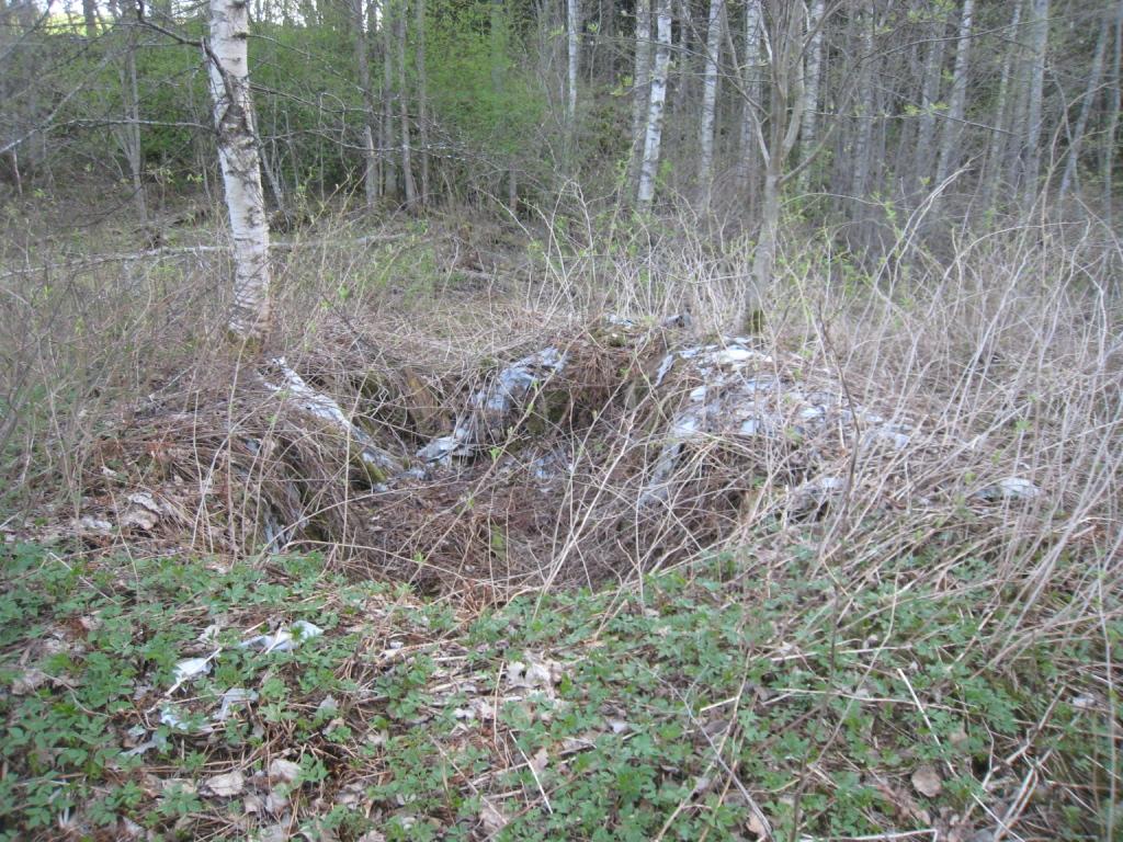 Tammet ovat osittain häiriintyneet liian korkeaksi kasvaneista lepistä. Alaosassa on myös saarnialue.tammilla ja saarnilla on pakkas- ja hirvivioituksia ja niistä aiheutuneita kasvuhäiriöitä.