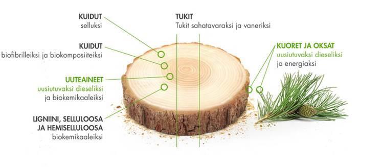 Puuraaka-aine on UPM:n