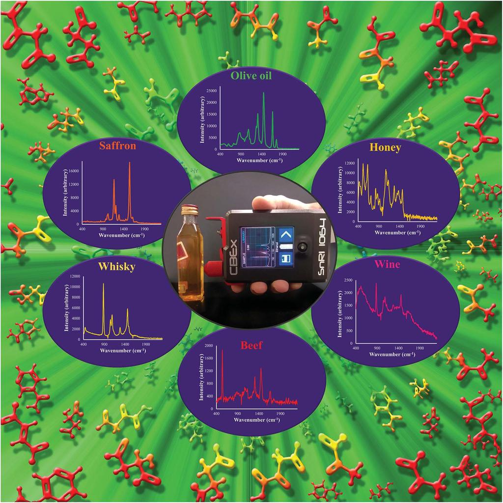 Esimerkki: kannettava spektrometri Lähde: Point-and-shoot: rapid quantitative detection methods for on-site food fraud analysis moving out of the laboratory and