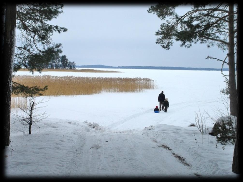 Toimintasuunnitelman mukaiset tapahtumat vuonna 2017 Yhdistyksen talkootoiminta