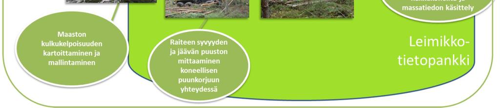 Digitaaliset ratkaisut puun tehokkaampaan hyödyntämiseen.