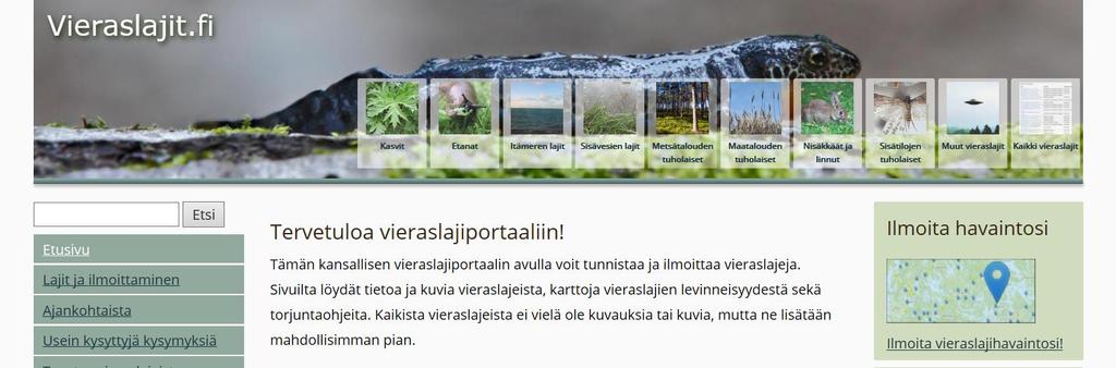 Vieras- ja tulokaslajien digitaalinen havainnointipalvelu Tietoja vieraslajeista kerätään kansallisen Vieraslajit.fi-portaalin avulla.