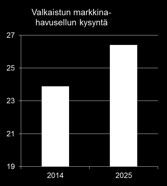 Metsä Groupin biotuotetehdas Markkinat Entistä vahvempi markkina-asema Investointi tukee Metsä Fibren pitkän aikavälin kasvu- ja kannattavuustavoitteita Havusellun kysyntä kasvaa globaalisti Kasvu on