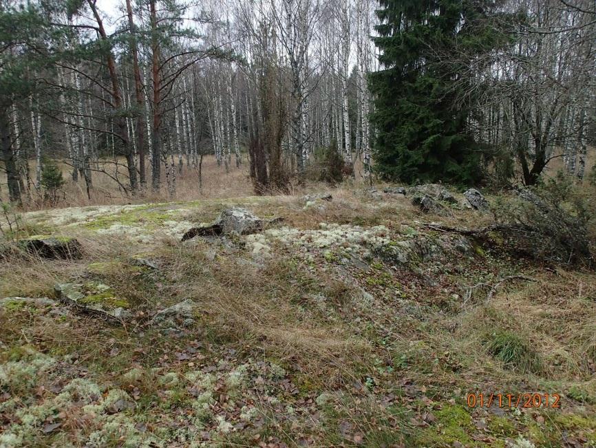 558 P: 6660 967 I: 3328 315 Tutkijat: Sijainti: Huomiot: Jussila & Sepänmaa 2013 inventointi Paikka sijaitsee