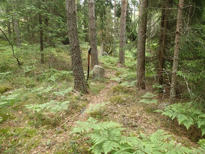 29 C, Rajamerkit Joddbölen talon pohjois-luoteispuolella, kalliomäen juurella havaittiin kaksi