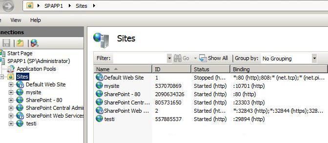 Kuva 9. Internet Information Service -palvelinohjelma SQL-palvelin on Microsoftin tietokantapalvelin.