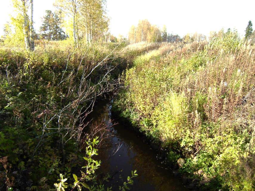 Kopakkaoja, Tyrnävä, kaivu 8/2013 Tyrnävänjoen sivupuro