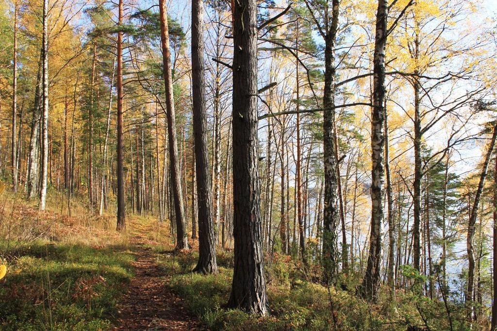 Länsipuolen