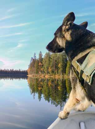 Samalla hallintoyksiköt ovat alkaneet miettiä kuinka järjestellä uusi koulutusvastaava tehtävä.