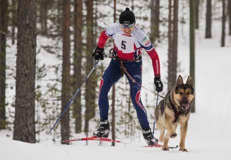 Arto lähettää terveisiä muillekin, nyt kotiin jääneille koiranohjaajille, että kyseessä on oikeasti hieno tapahtuma.
