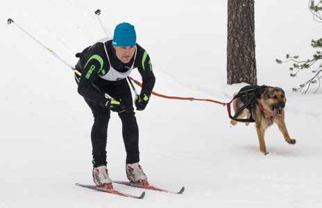 Tapahtuma tuo mukanaan niin koiralle kuin ohjaajalle yhdessäoloa, sosiaalista kanssakäymistä, tapakasvatusta, kuntoa ja hallittavuutta.