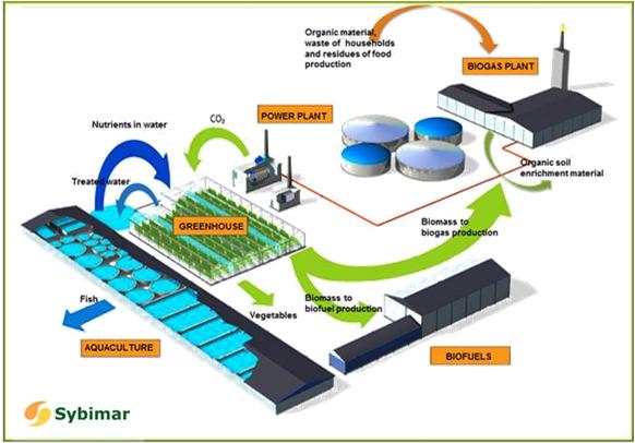 Case SYBIMAR calculated with SULCA: Towards a more ecological solution through integrated fishery, greenhouse and bioenergy production using closed circulation Sybimar has developed a bioenergy and