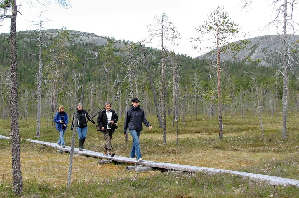 Profilointi näkyy asiakkaan polulla