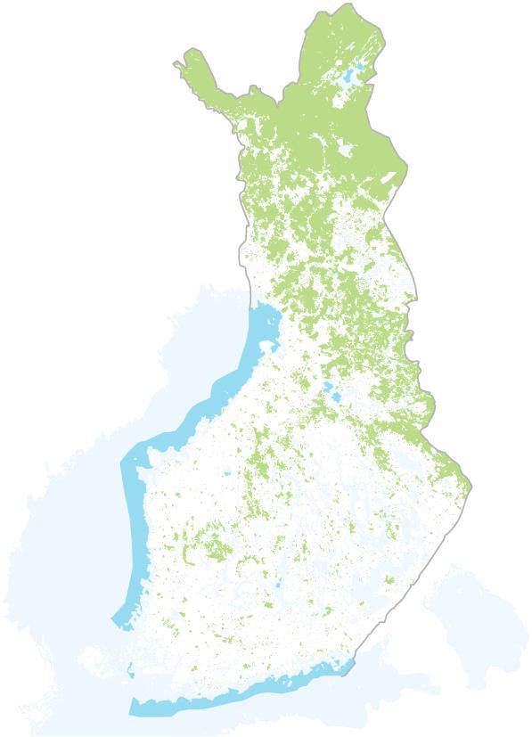 Mikä on Metsähallitus?