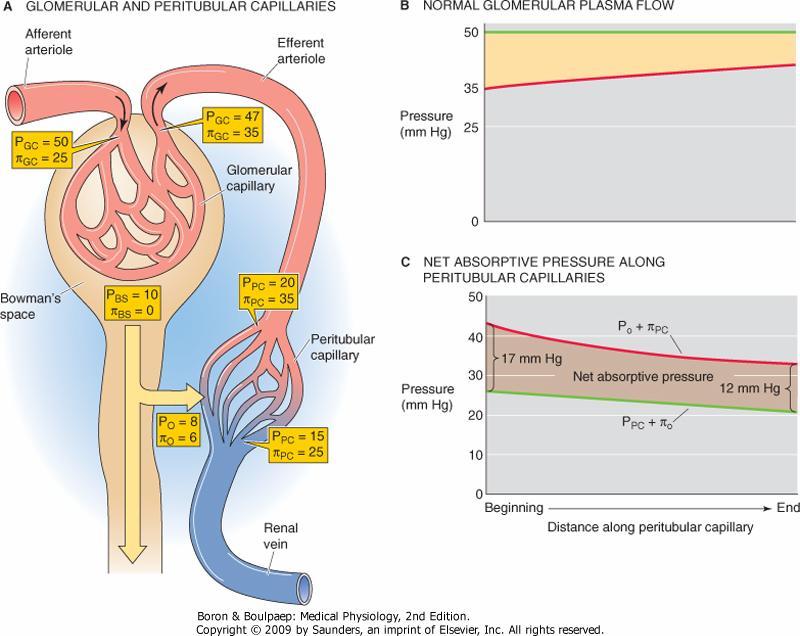 Kaplan s Clinical Hypertension 2002