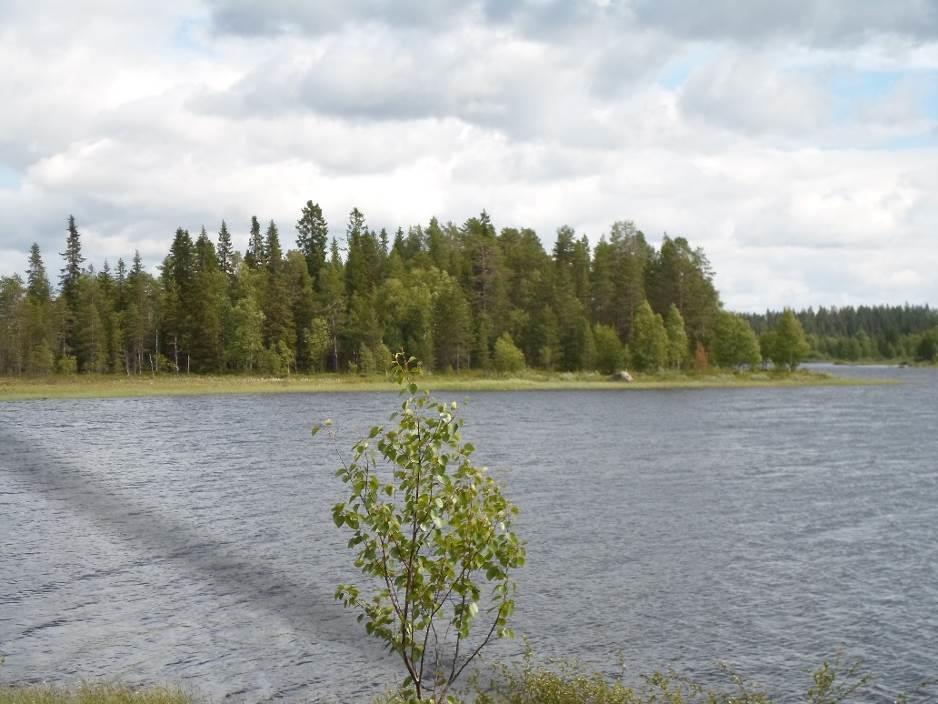 SUOJELUALUEET, SUOJELUOHJELMAT JA NATURA 2000-VERKOSTO Suunnittelualueella tai sen välittömässä läheisyydessä ei ole perustettuja suojelualueita, suojeluohjelmiin tai Natura 2000-verkostoon kuuluvia