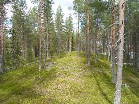 Moreenistratigrafia on vallitseva alueen länsi- ja keskiosassa so. siis turvekerrostuman alla.