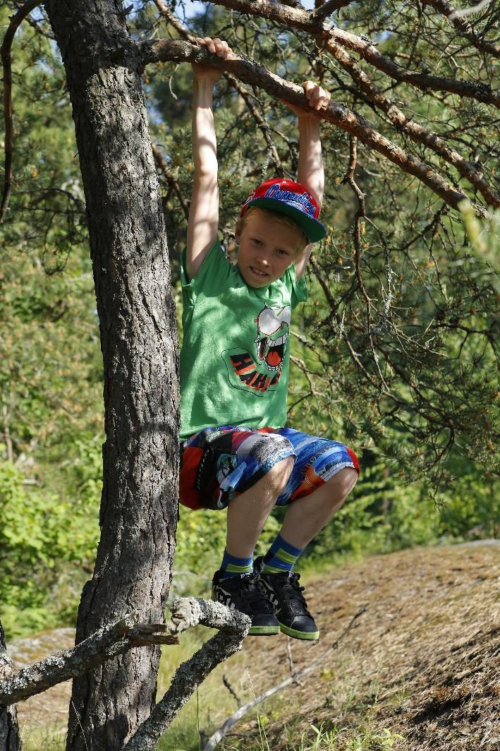 Lähiympäristön mahdollisuudet käyttöön Lapsen tärkeitä liikuntapaikkoja ovat koti ja oma piha sekä lähiympäristö Lähimetsän kivet, kalliot,