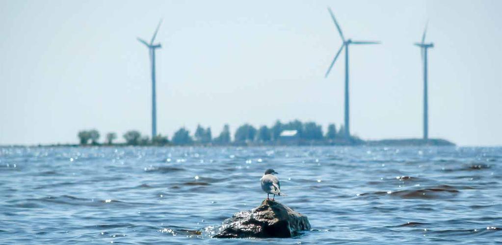 050 3753 930, iltaja viikonloppupäivystys p. 040 038 3061. Lisätiedot ja vesimittarilukeman ilmoittaminen: ii.fi/vesiliikelaitos Jätehuolto ja kierrätys Ii kuuluu Oulun Jätehuollon toimialueeseen.