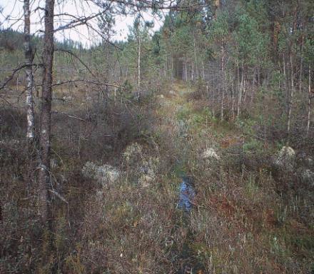 Kunnostusojituksen vesiensuojelu Kohdevalinta Taloudellinen kannattavuus