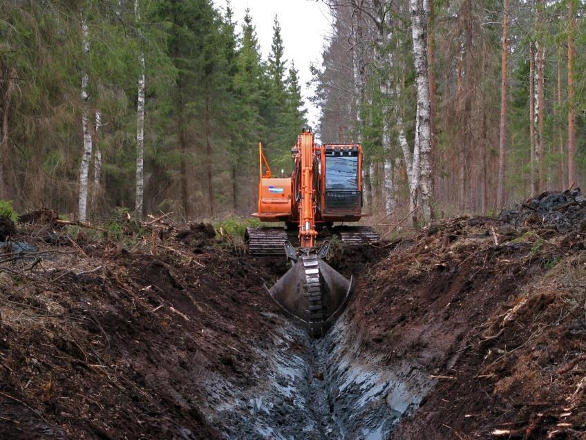 Metsäsertifiointijärjestelmät Itämeren maissa käytetään PECF (Programme for the Endorsement of Forest Certification) ja FSC (The Forest Stewardship Council) -metsäsertifiointijärjestelmiä.