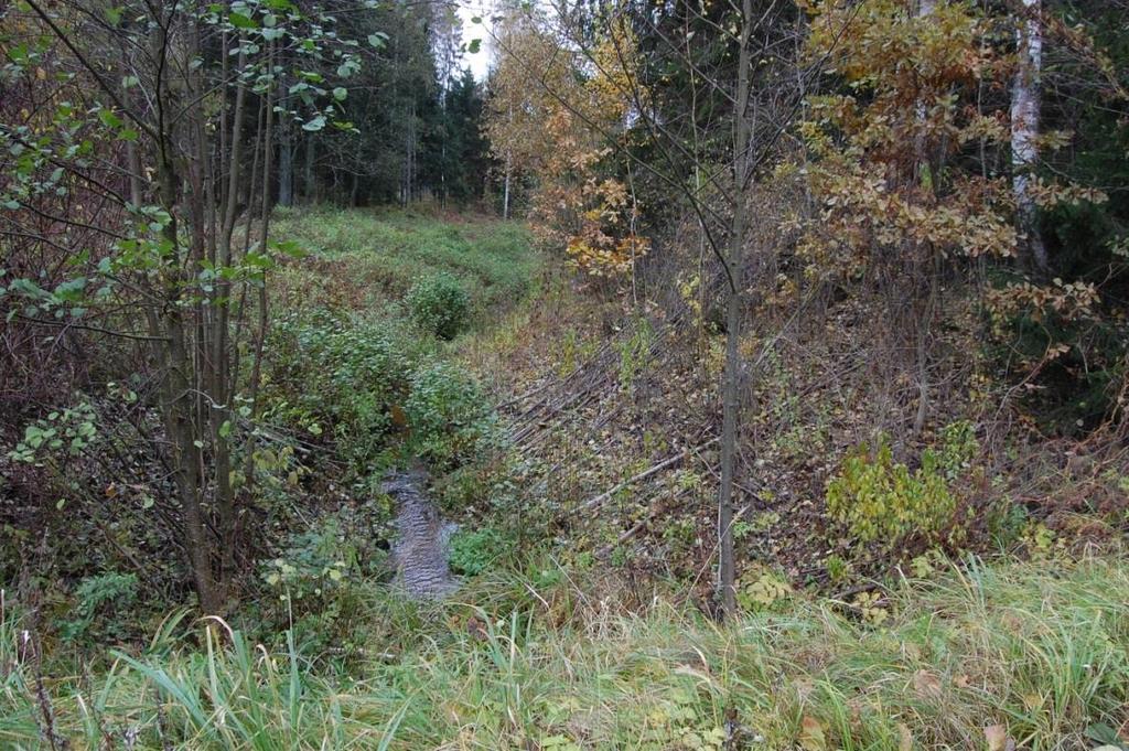 Kuva 2. Metsäojitusalue Liettuassa. Kuva: Dovilė Čiuldienė. Varastoitaessa vettä metsään -ojituksella lisätään vesivarastoa metsässä säätämällä pohjavedenpinnan tasoa sekä metsänhoitomenetelmien (mm.