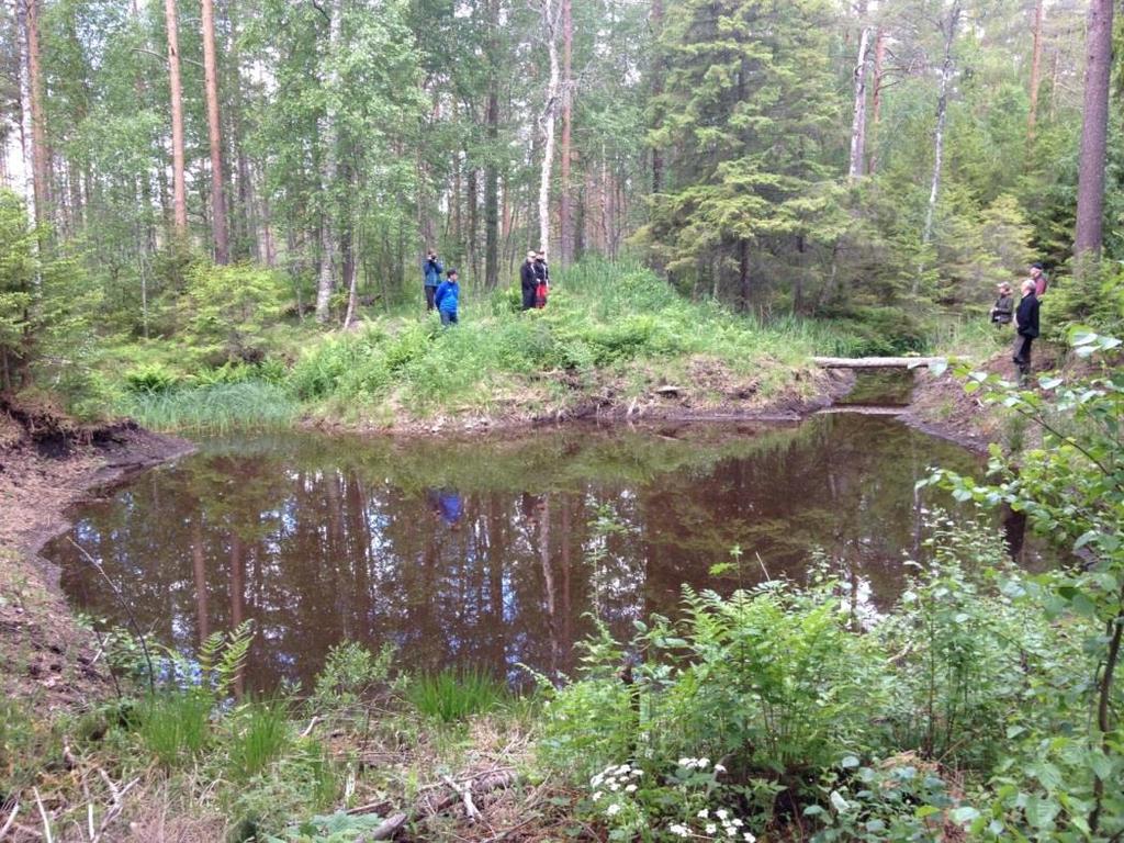 3. Metsäojitus Itämeren alueella Suurin osa Euroopan turvemaista sijaitsee seuraavissa Itämeren alueen maissa (kuva 10) Latviassa Liettuassa Puolassa Ruotsissa Suomessa Virossa Kuva 4.