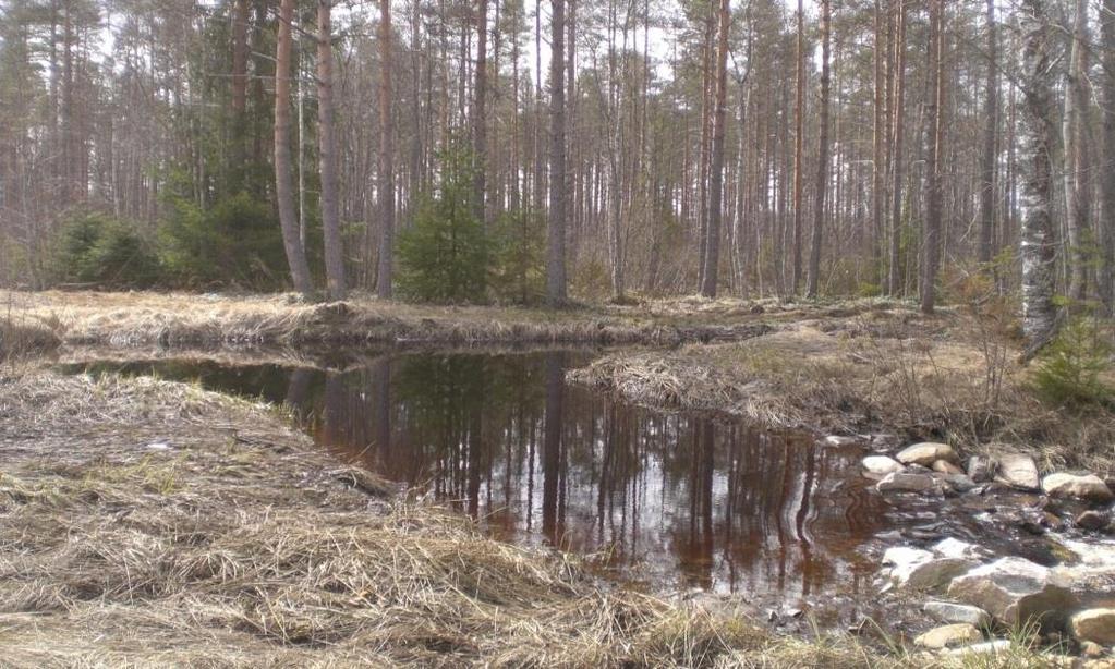 Ruotsissa veden vaivaamilla uudisaloilla käytetään navero-ojitusta, jonka vuosittaiset toimenpidepinta-alat ovat noin 4 000 hehtaaria.