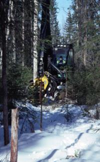 kalustoa ei ole saatavilla, turvemaiden ojalinja- ja harvennushakkuut tulisi