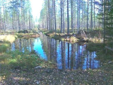 Putkipadolla säädelty laskeutusallas Tulva-aikainen tilanne, jossa padotus ylettyy altaan lisäksi osittain myös yläpuoleiselle ojitusalueelle.