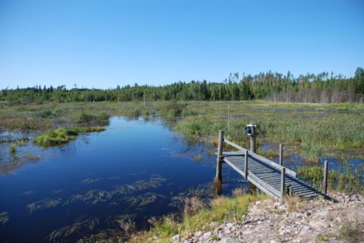 Torsanjoen kosteikko, Ruokolahti Kuvat: Seppo