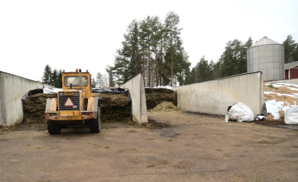 37 (72) KUVA 10. Seosrehu valmistettiin tilalla A pyöräkuormaajan avulla. Säilörehusiilot sijaitsivat loppukasvattamon läheisyydessä. (Tanskanen 2016.) Seosrehu jaetaan ensin uuteen loppukasvattamoon.
