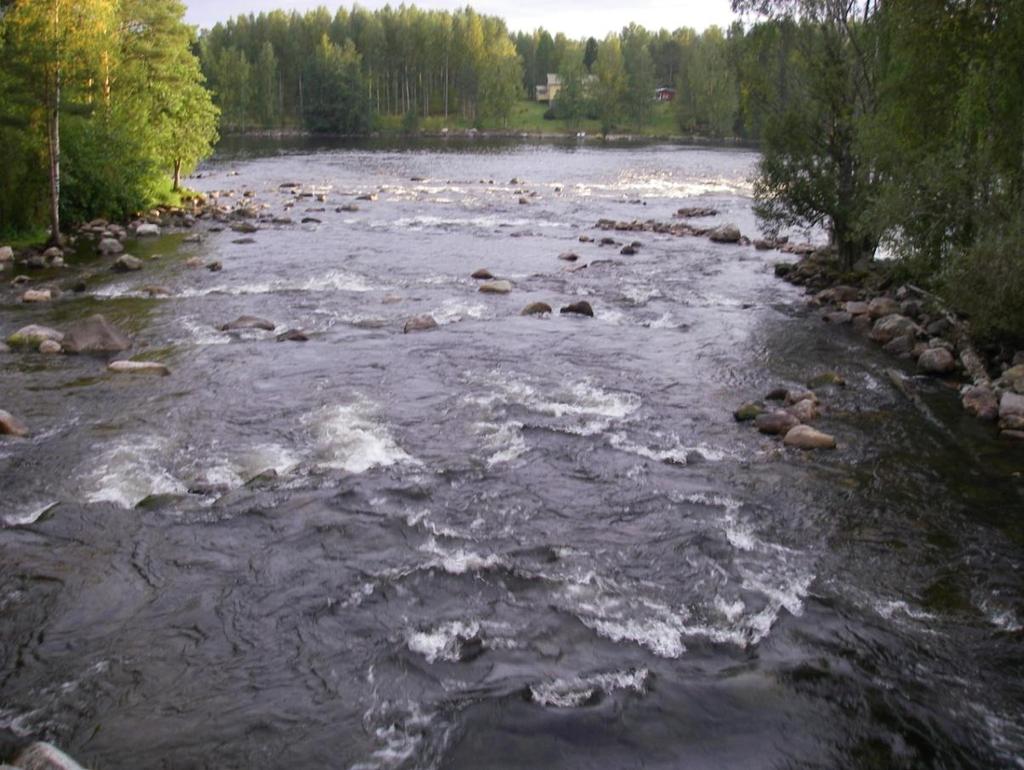 Koskikalastuskohteet Heinävedenreitillä sijaitsee neljä koskialuetta, Palokin kosket, Karvionkoski, Kerman ja Vihovuonteen koskialue sekä Pilpankoski.