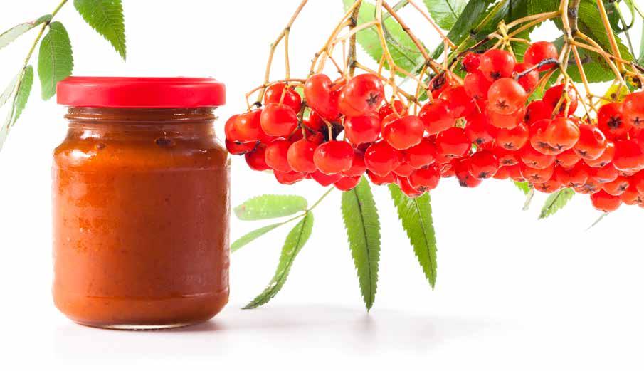 Erittäin aromikkaat, suuret ja kiinteät marjat soveltuvat sekä tuorekäyttöön että säilöntään.