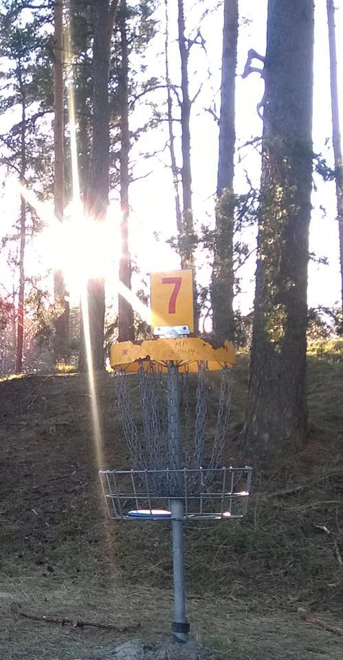 UUTTA KYLÄLLÄ: FRISBEEGOLFRATA! Mietimme talvella mihin tarkoitukseen voisi hakea kylälle Leader-rahoitusta ja päätimme panostaa tänä vuonna 9- väyläisen frisbeegolfradan tekoon.