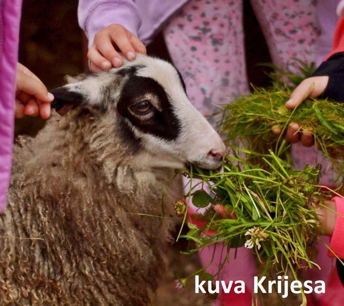 Luvassa kesäistä tekemistä ja toimintaa sekä hauskaa oleilua eläinten kanssa. Huippujuttu eläinrakkaille! Milloin: 12. - 16.6, 26. - 30.6 ja 31.7. - 4.8.