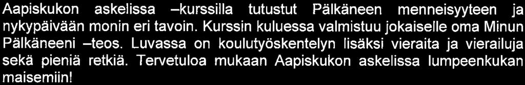 Kostian koulu Sivu 4/11 Valinnaisaineet Kostian koulun valinnaiset aineet 4. -6.