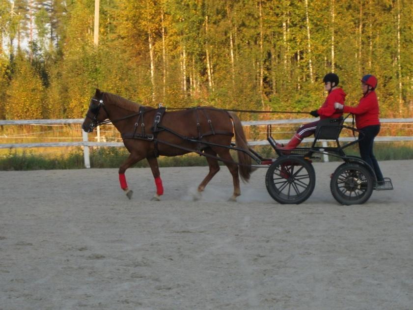 Ohjeita erityisryhmien turvalliseen ajoharrastamiseen Jos nyt ei ihan näin, mutta melkein..."kaikki, paitsi ajaminen, on turhaa".